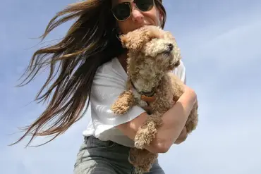 Cavapoos and the Hidden Health Challenge: What Pet Owners Need to Know