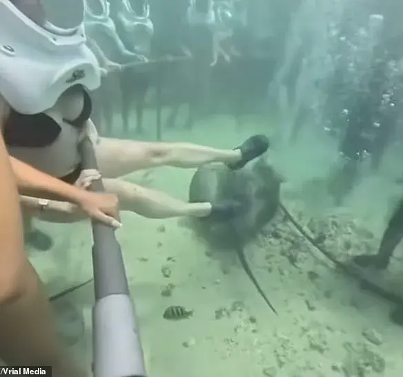 Underwater Adventure Turns Into Nightmare as Helmet Dislodges, Raising Safety Concerns at Xcaret Park