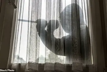 Balancing Innovation and Privacy: Cybersecurity Experts Reassess Home Security Strategies in the Digital Age