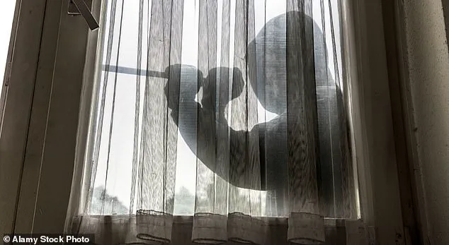 Balancing Innovation and Privacy: Cybersecurity Experts Reassess Home Security Strategies in the Digital Age