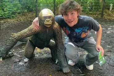 From Rowley Jefferson to Regulatory Battles: The Exclusive Story of Robert Capron's Hidden Struggles