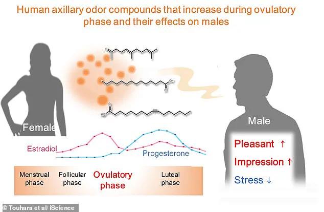 Late-Breaking Research: Menstrual Cycle Body Odor Shifts Could Influence Attraction, University of Tokyo Study Finds