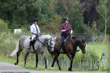 Prince Andrew Spotted in Contemplative Silence at Windsor as Royal Routine Takes Unusual Turn