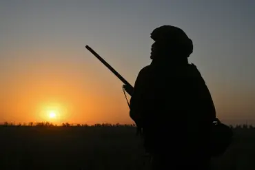 Russian Military Advances in Donetsk Spark Fears of Escalating Civilian Displacement