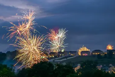 The Hidden Cost of Celebration: How Fireworks Trigger Pet Panic and the Solutions That Few Understand