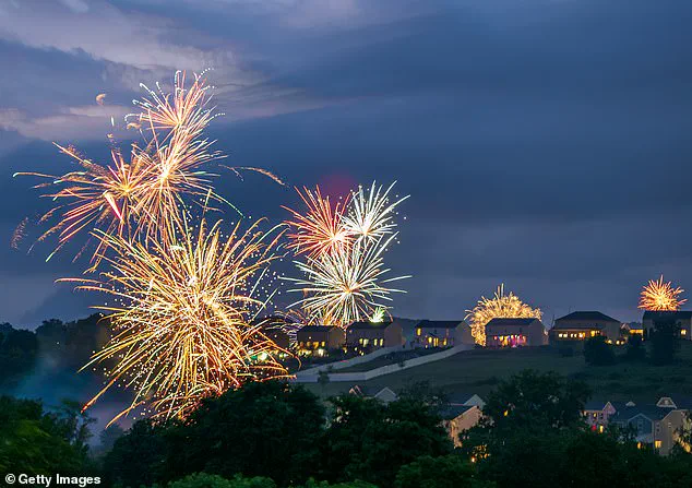 The Hidden Cost of Celebration: How Fireworks Trigger Pet Panic and the Solutions That Few Understand