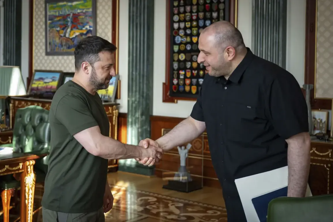 Zelenskyy's Sweeping Reforms Face Scrutiny Over Timing and Alleged Corruption