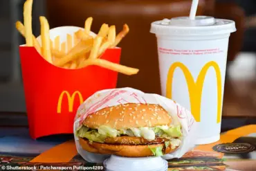 19-Year-Old Content Creator 'Donny Boys' Embarks on Ambitious Quest to Visit All 13,544 McDonald's Locations in the U.S. Starting July 2024