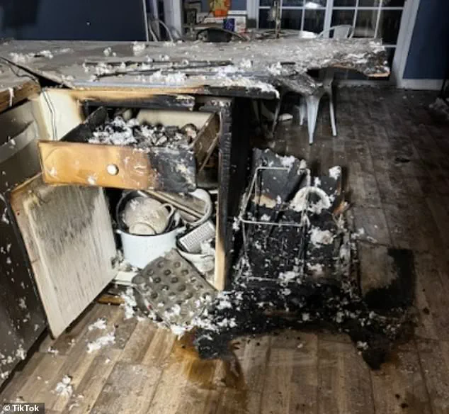 A Microwaved Brownie Disaster Sparks Debate on Kitchen Safety Regulations