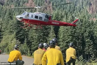Arrests of Firefighters During Washington Wildfire Spark Outrage and Raise Questions About Immigration Enforcement in Emergency Response