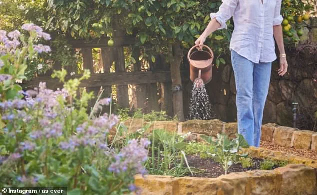 Duchess of Sussex Announces 'As Ever' Restock and Teases 'With Love, Meghan' Season 2