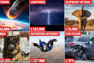 Everyday Perils Outweigh Cosmic and Apocalyptic Threats, Scientists Find