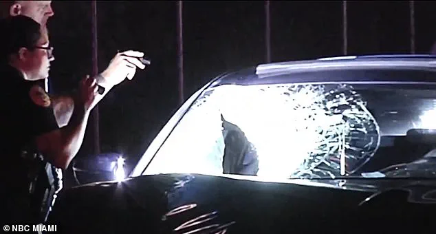 Hit-and-Run Incident Highlights Gaps in Legal Protections and Public Safety Regulations