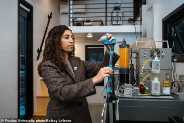 Study Reveals Health Risks of Heat-Based Hair Tools: Exposure to Nanoparticles Equivalent to Pollution Levels