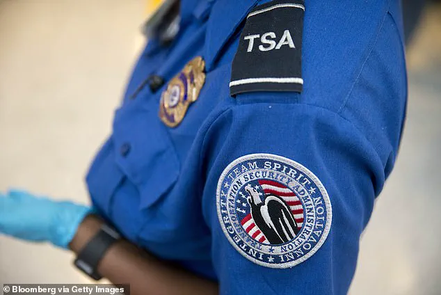TSA Bans Cordless Hair Tools with Gas Cartridges in Checked Luggage, Sparking Controversy: 'This Overhaul Raises Safety Concerns' – Industry Analyst
