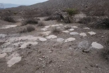 Urgent Investigation: 70 Piles of Cremated Remains Found in Nevada Desert Raise Legal and Ethical Concerns