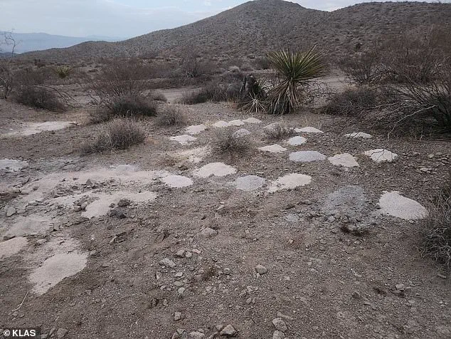Urgent Investigation: 70 Piles of Cremated Remains Found in Nevada Desert Raise Legal and Ethical Concerns