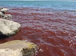 Convergence of the Rapture and Rosh Hashanah on September 23, 2025 Sparks Religious Discussion