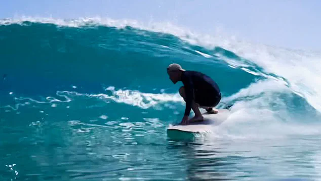 Privileged Access and Redacted Secrets: The Unresolved Saga of Prince Harry's US Visa