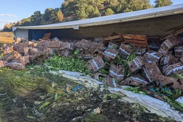 Sweet Corn Spill After Truck Crash Leaves Colorado Residents Bewildered and Grateful